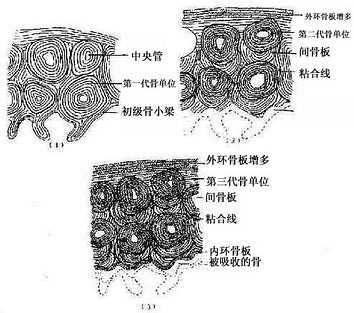 IVF华西附二院赠卵试管经历，我们的路