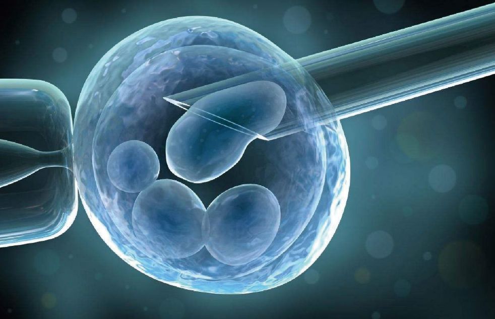 南昌市妇幼保健院供卵试管婴儿费用是多少？(2022年鹰城试管费用参考)