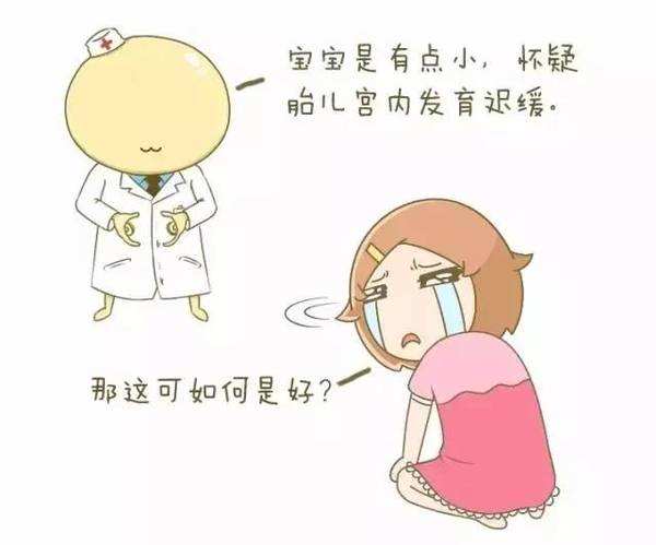 我眼中的供卵试管婴儿