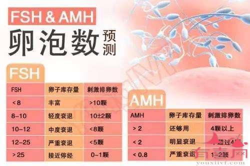 南昌鼓楼借卵试管婴儿成功率排名-江西鼓楼医院借卵试管婴儿