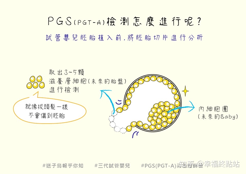 赠卵试管婴儿和冻卵专家。做赠卵试管婴儿一定要做输卵管造影吗？请教专家