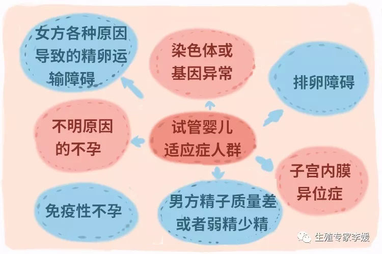哪里可以做供卵试管公立(做供卵助孕代怀试管合格医院查询)