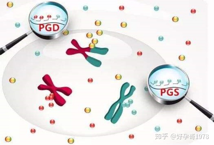 借卵代生借卵试管的基础卵泡少该怎么办