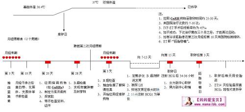 第二代供卵生子自怀试管百科知识