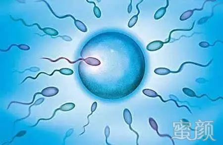 子宫内膜异位症借卵试管成功率高吗