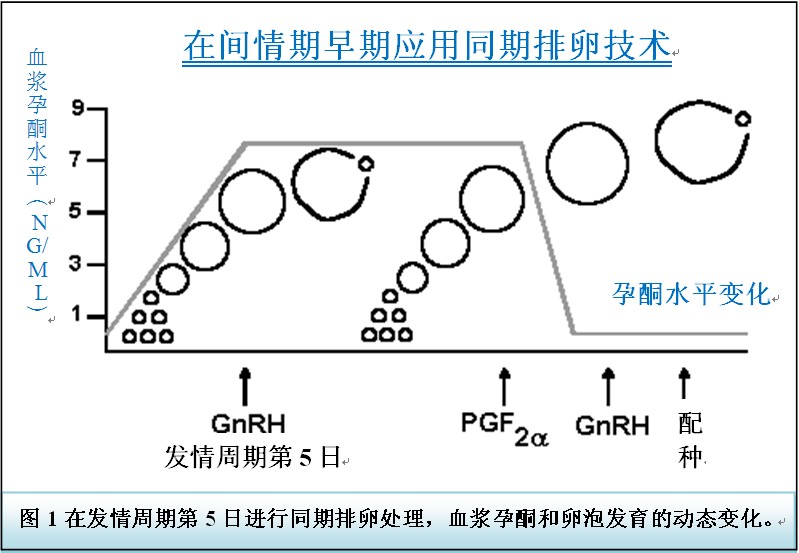三代供精方案：长效长方案流程及适用人群一目了然