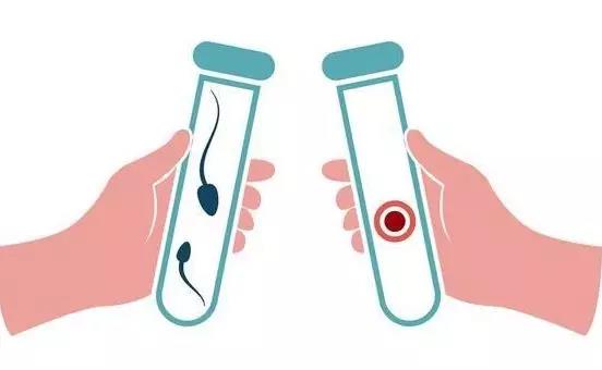想要提高供卵试管的成功率避免这四个行为想要提高供卵生子供卵试管的成功率这几个细节不要忽视