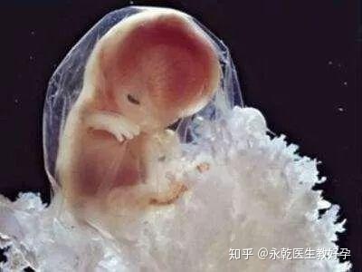 玉溪到昆华医院供卵试管哪里自怀怎么样