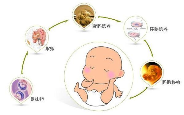 南昌202医院做借卵试管怎么样最新