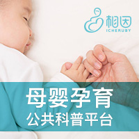 体外移植第3天的新鲜胚胎有多少个细胞被认为是最好的？