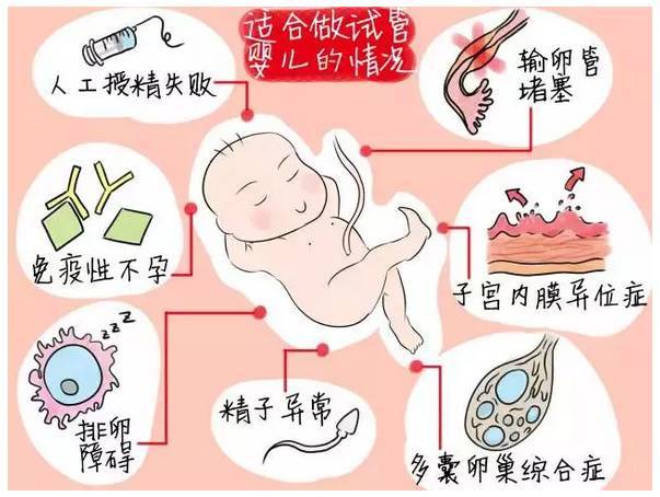 供卵做试管婴儿没有胎心胎芽的概率