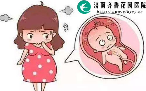 做供卵试管成功的概率有多大
