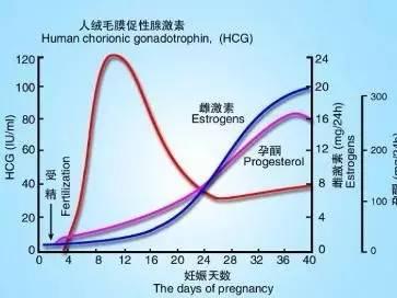 四十一岁可以做供卵试管婴儿吗