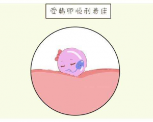 供卵试管一般要几次成功