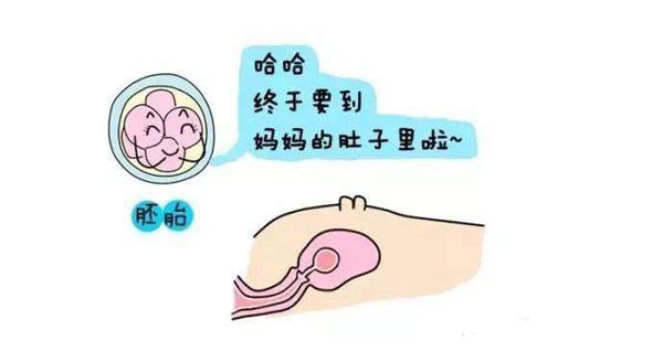 南昌妇幼保健院试管婴儿成功率