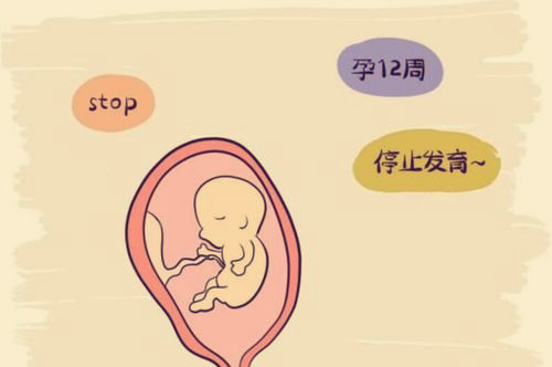 南昌妇幼保健院试管成功率