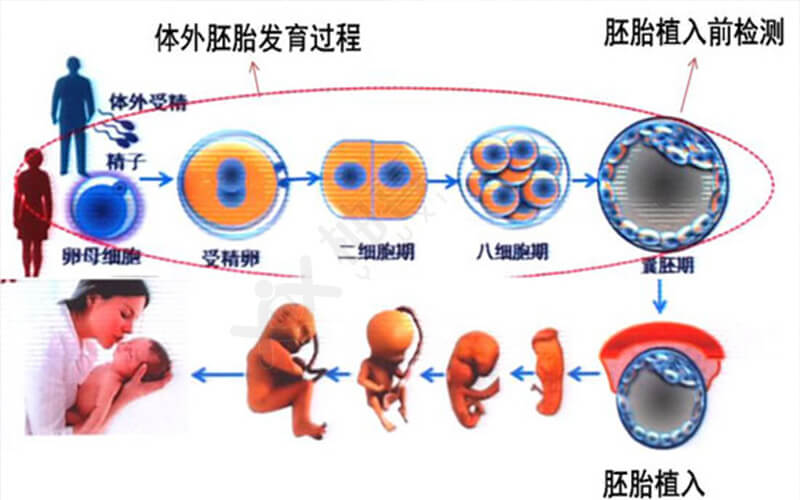 南昌妇幼保健院试管成功率