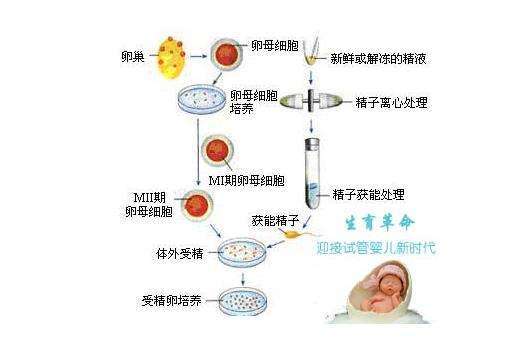 南昌做试管婴儿的医院有哪几家