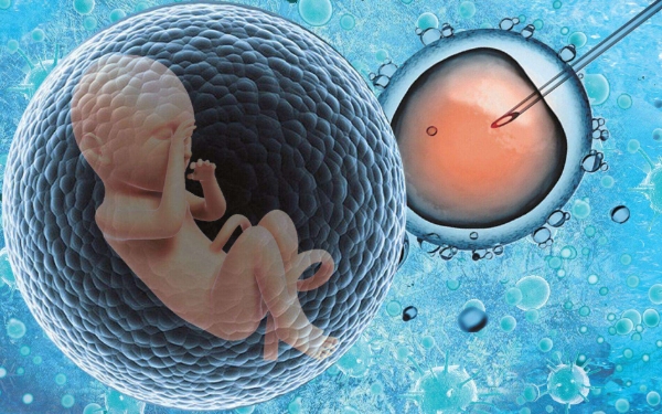 去南昌做第三代供卵代生南昌能百分百包生男孩吗？