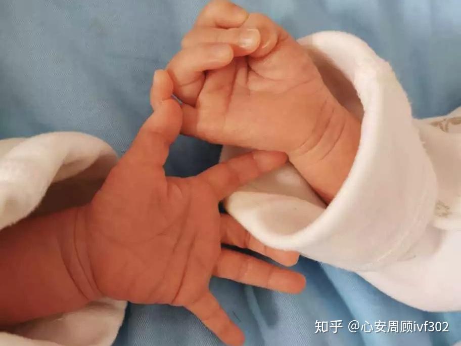 试管长方案和超长方案的区别,哪个成功率高呢？