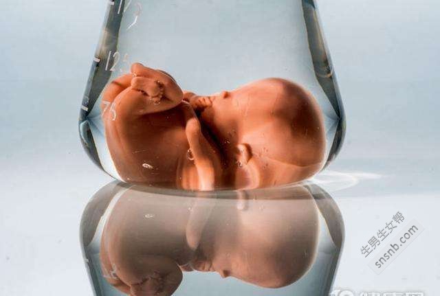 反对试管代怀的原因成功率能达70%,但女性子宫环境差也会导致反复移植失败
