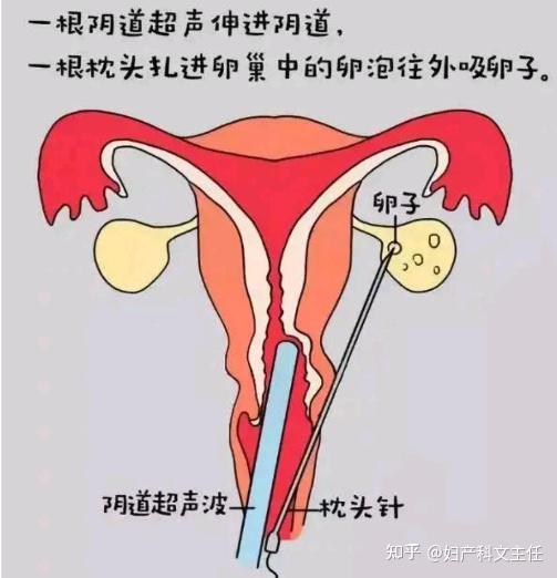 江西南昌市中心医院代怀宝宝价格多少多少钱？南昌中心医院试管费用一览