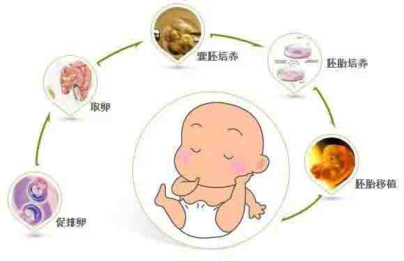 江西南昌市中心医院代怀宝宝价格多少多少钱？南昌中心医院试管费用一览