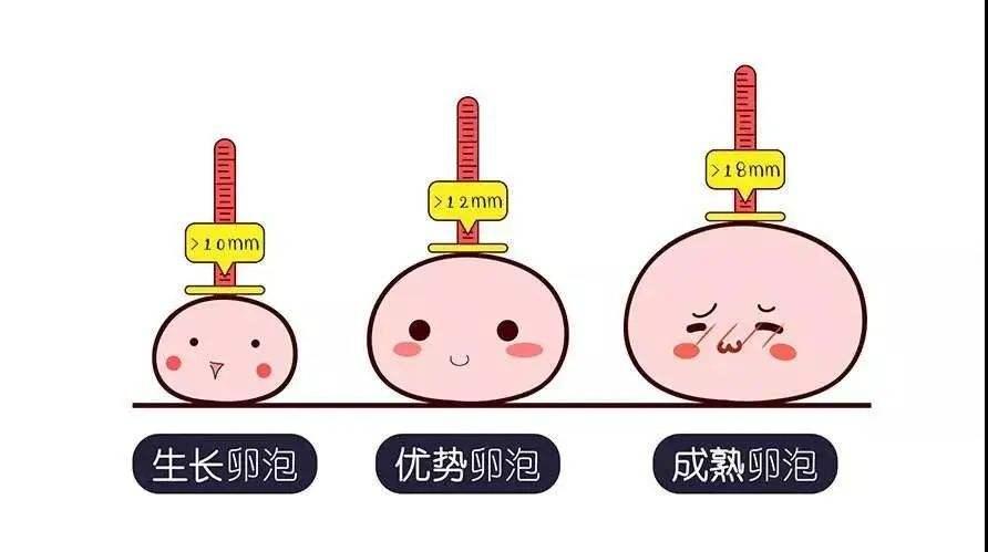 今天给大家讲解供卵费用+今天详细给大家讲解供