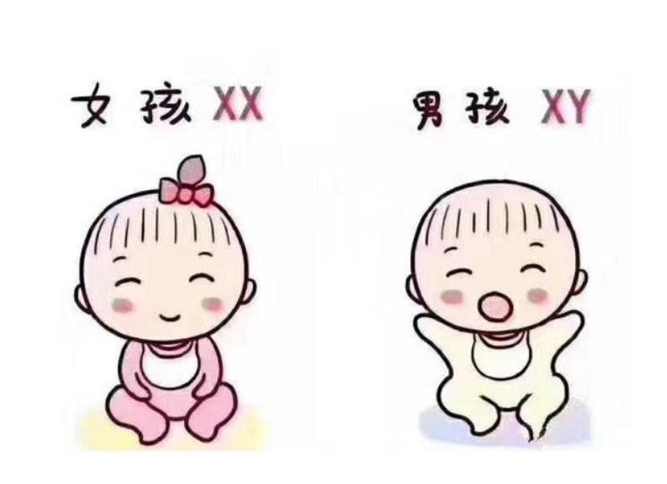 鲜胚移植8天成功的征兆,肚子隐隐作痛算吗？