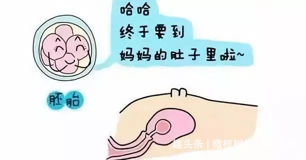 为什么想要男孩可以代怀吗时,做B超的次数这么频繁？