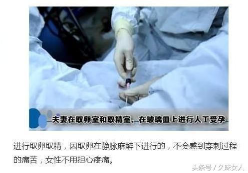 个人试管代怀取卵受精为什么不成功？