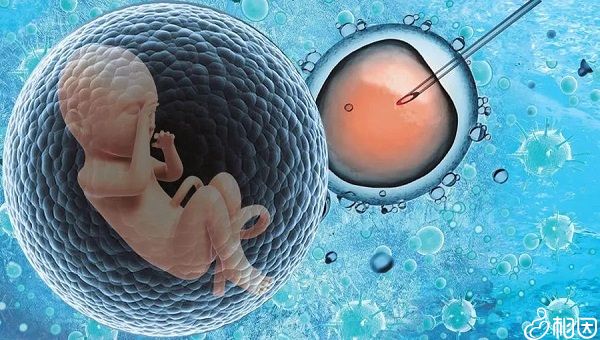 南昌找人试管代怀可信吗多长时间？这些因素正在影响着你的时间