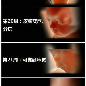 国内正规供卵试管代怀包生男孩