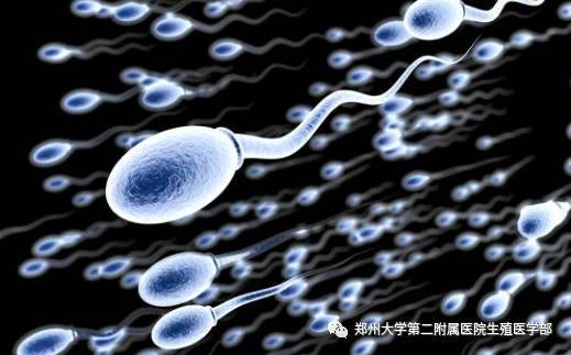 代怀专家包生男孩婴儿如何一次就成功（我的独家经验分享）