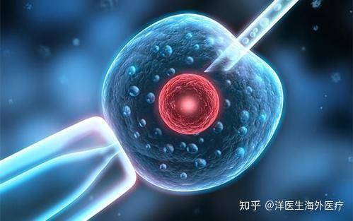 代怀试管生孩子一次成功的多吗