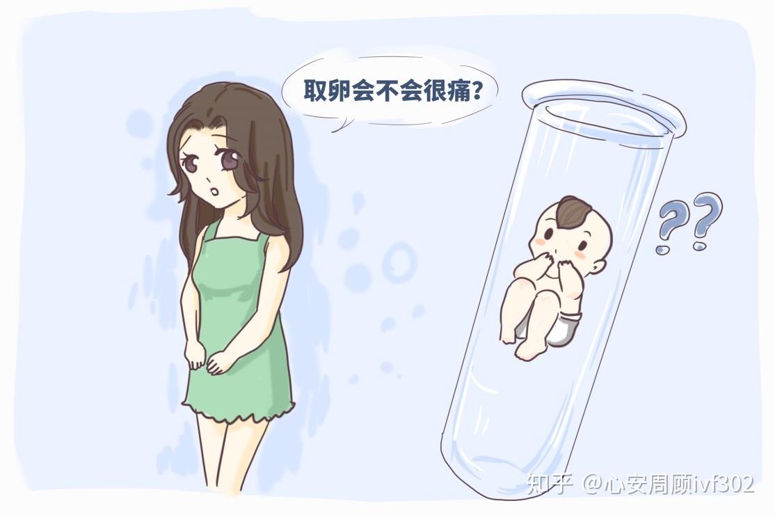 供卵试管代怀男孩婴儿主要是哪一类人群