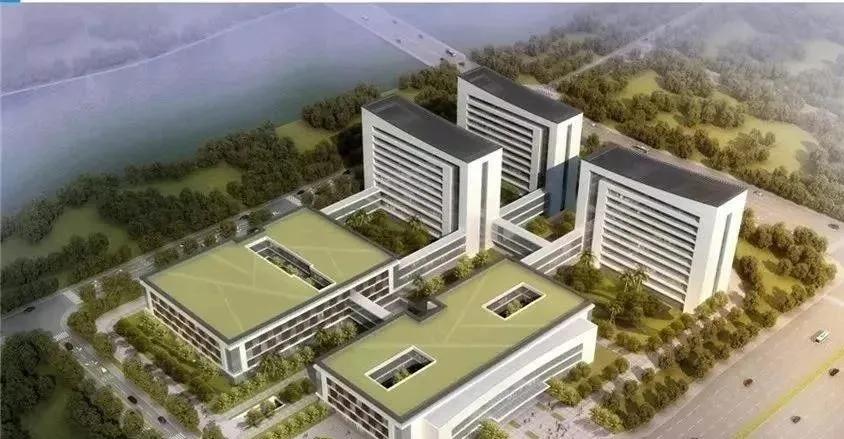 罗氏易位做一代试管可以确保不携带么