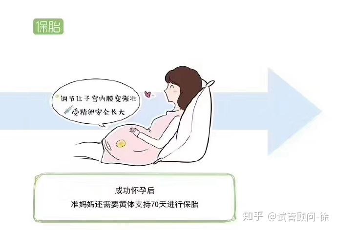 南昌养和医院代怀孕混血宝宝冻胚移植需要多少钱