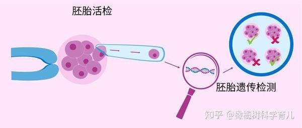 南昌不孕不育医院哪家试管代怀公司合不合法比较好
