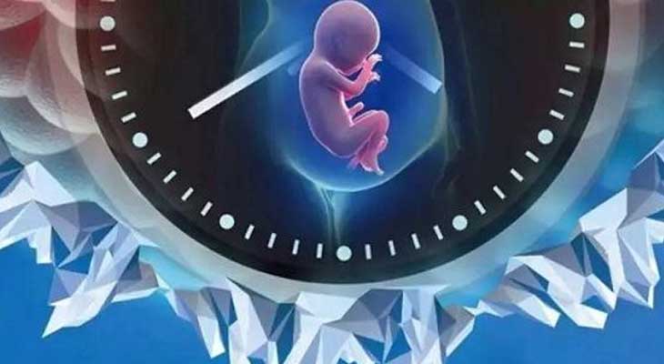 请人试管代怀犯法吗婴儿保险医保能报吗nk细胞偏高变质副作用会导致胎停