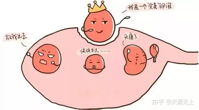 南昌国内借卵试管代怀协会生殖中心为你揭秘试管的秘密