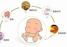 2024代生网站的成功率大约有多少（提高秘诀有吗？）