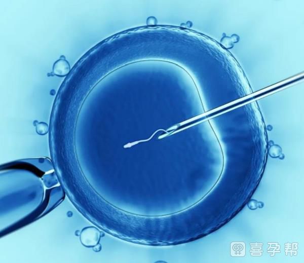 28岁做江西南昌试管包生男孩医院疼吗（痛苦吗）