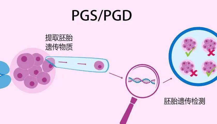 南昌靠谱的三代试管助孕公司机构+南昌助孕机构医院公司